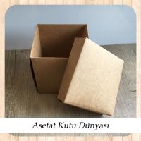 10x10x10 Kraft Komple Karton Kutu