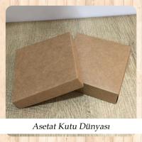 10x10x3 Kraft Komple Karton Kutu