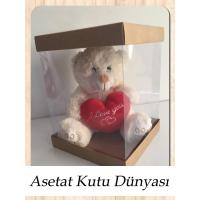 20x20x25 Altı Kraft Karton Üstü Asetat Kutu