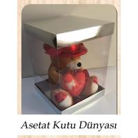 30x30x40 Altı Gümüş Metalize Karton Üstü Asetat Kutu