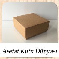 8x8x3.5 Kraft Komple Karton Kutu